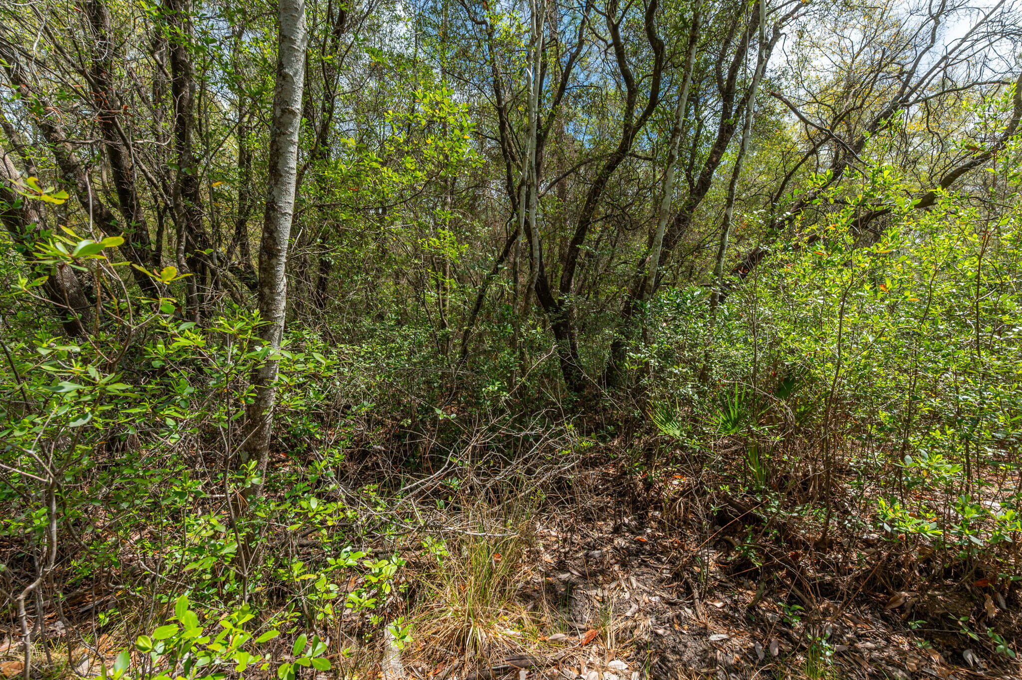 Na Na Womack Road, Unit LOTS 150 Crestview, FL 32539 - Photo 18 of 25 18-web-or-mls-woolmac-rd