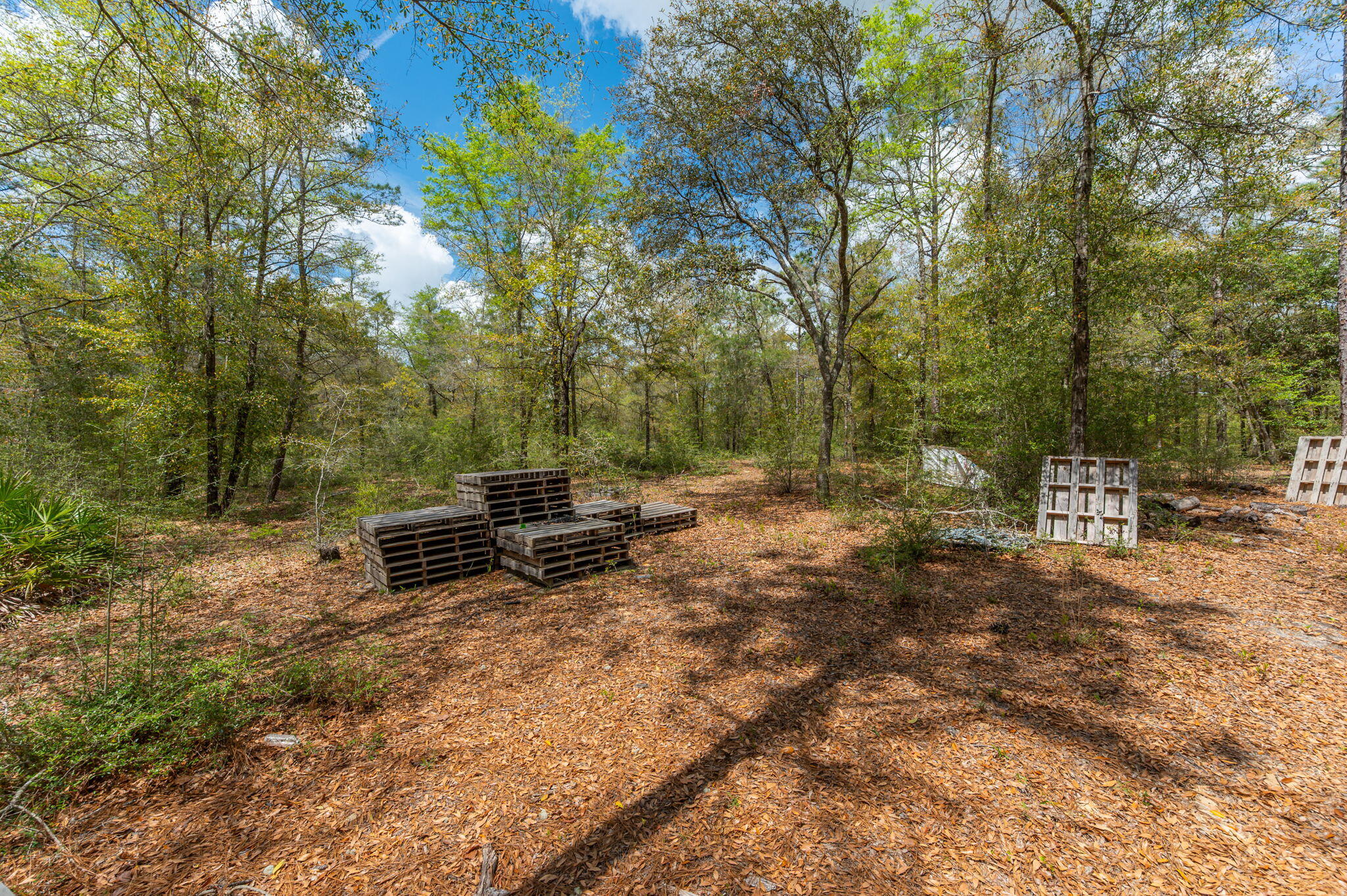 Na Na Womack Road, Unit LOTS 150 Crestview, FL 32539 - Photo 19 of 25 19-web-or-mls-woolmac-rd