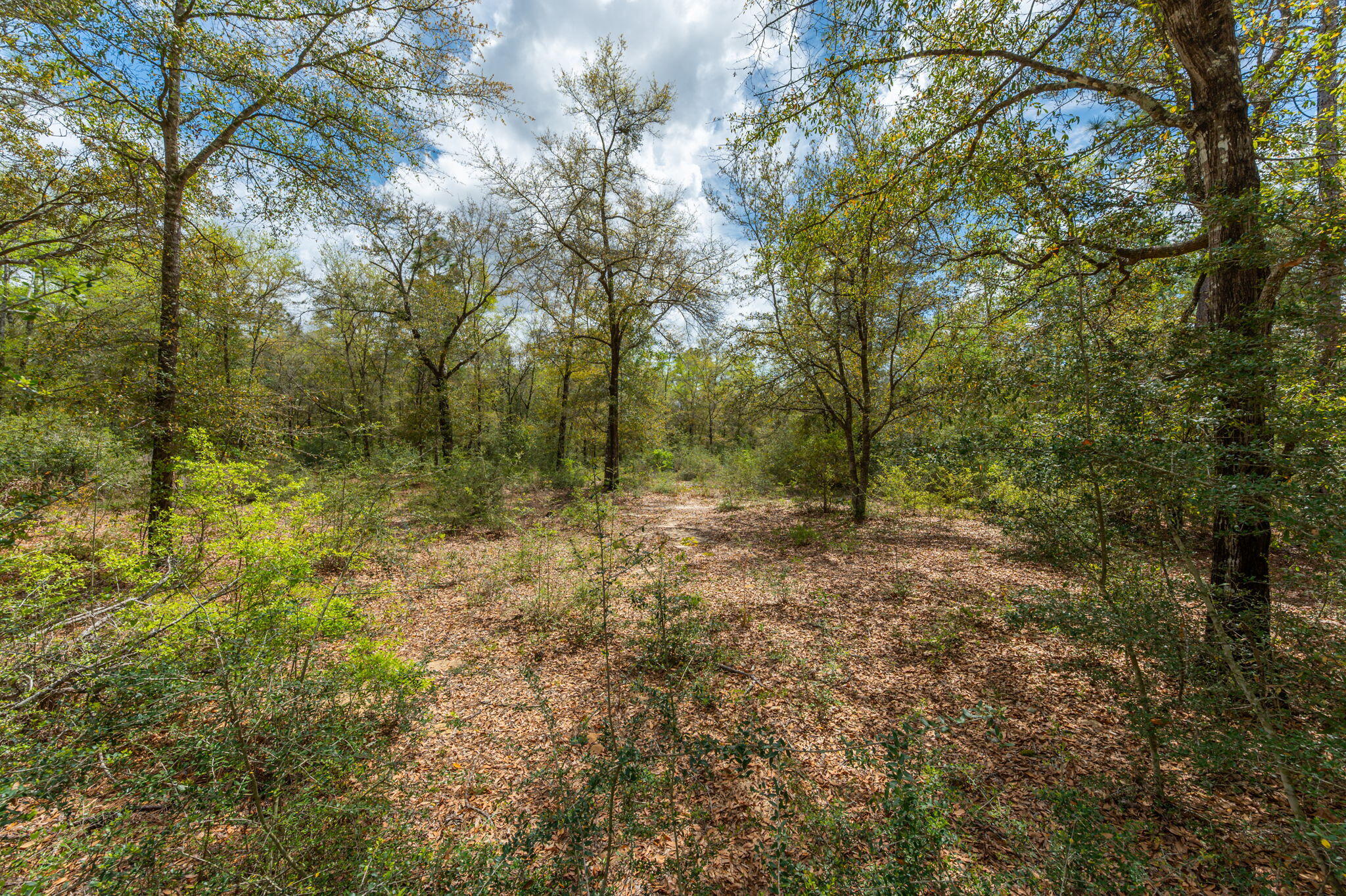 Na Na Womack Road, Unit LOTS 150 Crestview, FL 32539 - Photo 21 of 25 21-web-or-mls-woolmac-rd