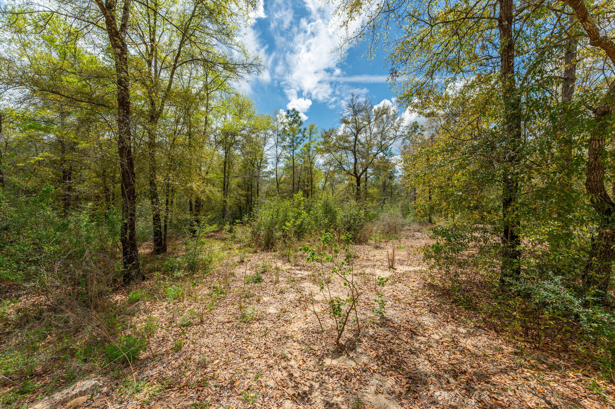Na Na Womack Road, Unit LOTS 150 Crestview, FL 32539 - Photo 22 of 25 22-web-or-mls-woolmac-rd