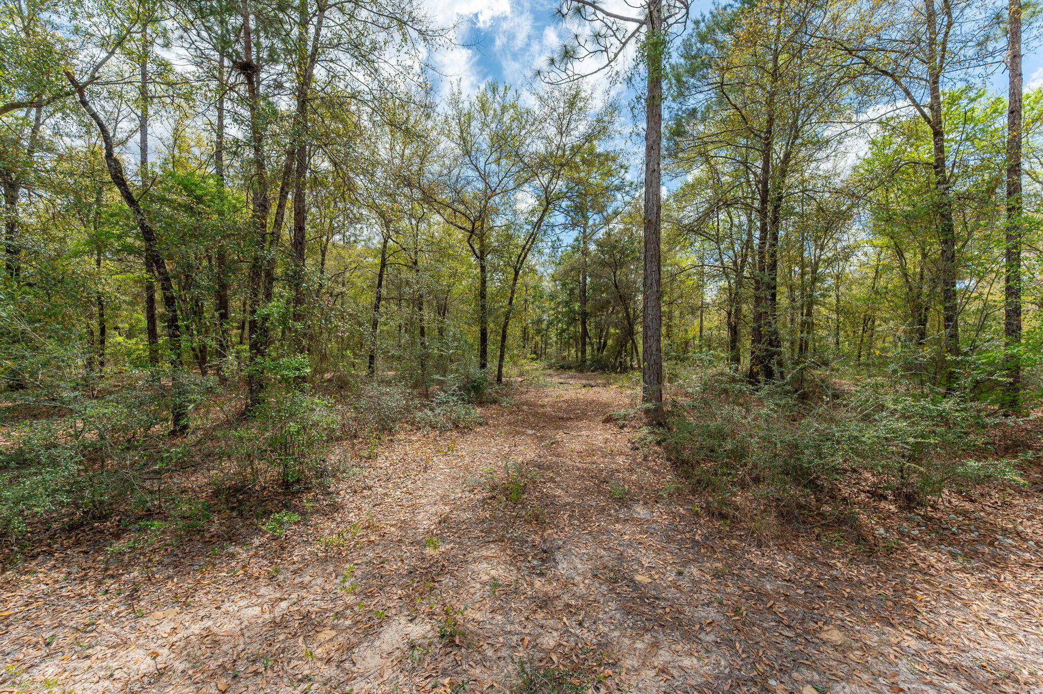 Na Na Womack Road, Unit LOTS 150 Crestview, FL 32539 - Photo 24 of 25 24-web-or-mls-woolmac-rd