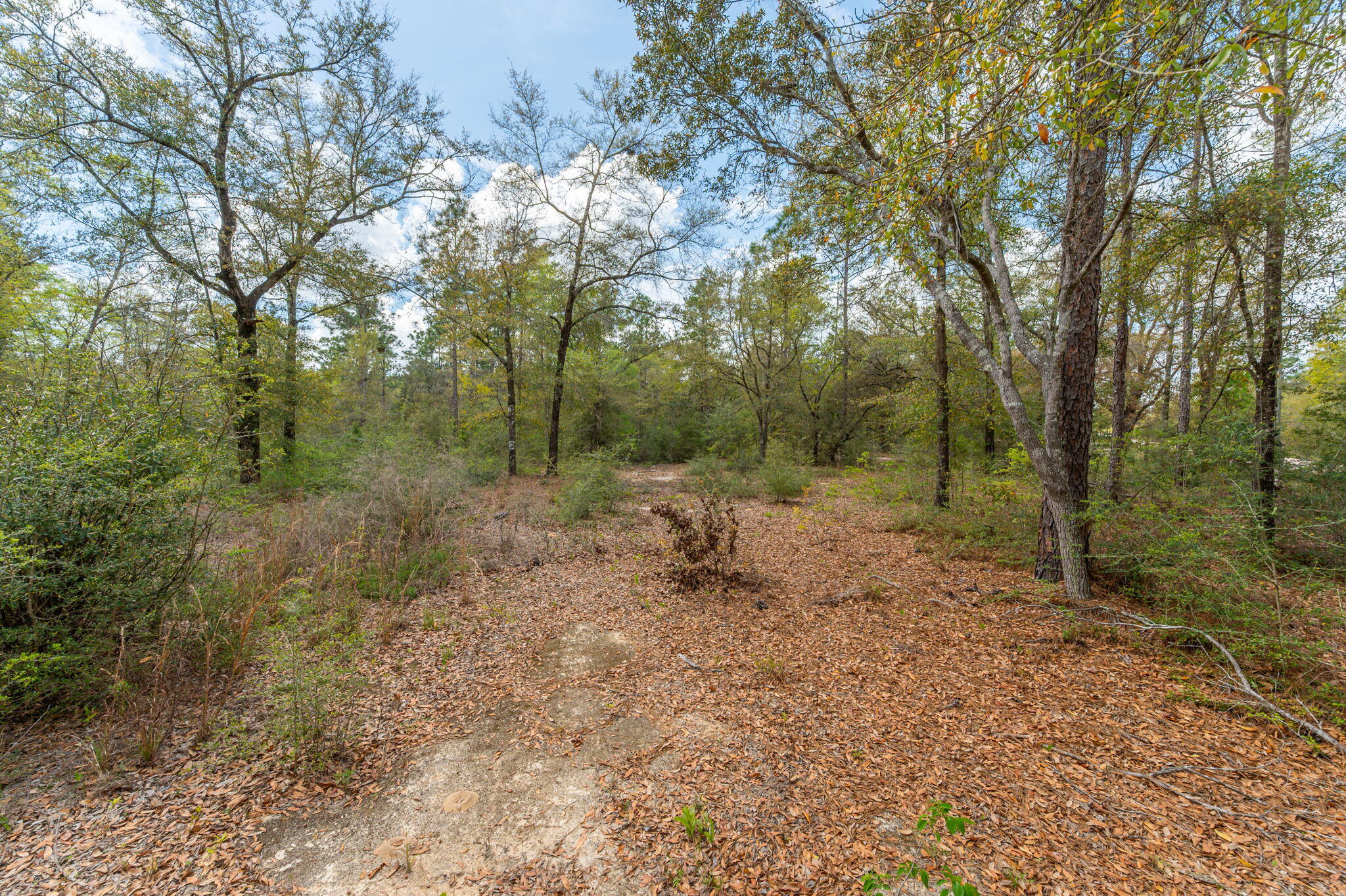 Na Na Womack Road, Unit LOTS 150 Crestview, FL 32539 - Photo 25 of 25 25-web-or-mls-woolmac-rd