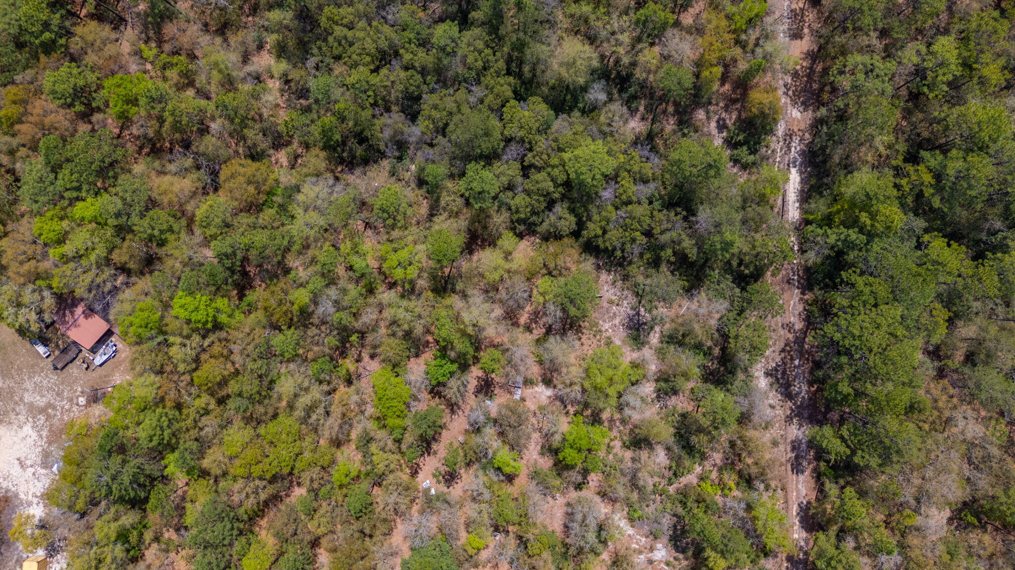 Na Na Womack Road, Unit LOTS 150 Crestview, FL 32539 - Photo 9 of 25 9-web-or-mls-woolmac-rd