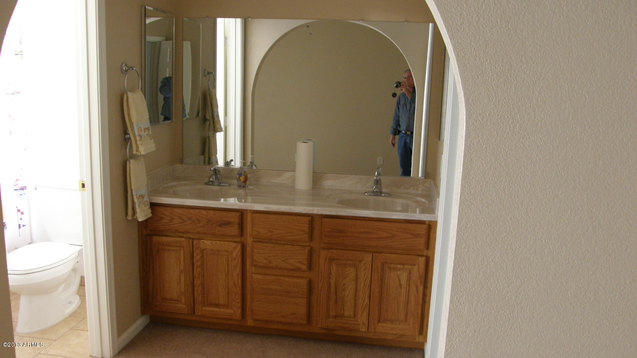 1055 North Recker Road, Unit 1029 Mesa, AZ 85205 - Photo 10 of 15 Master Bath