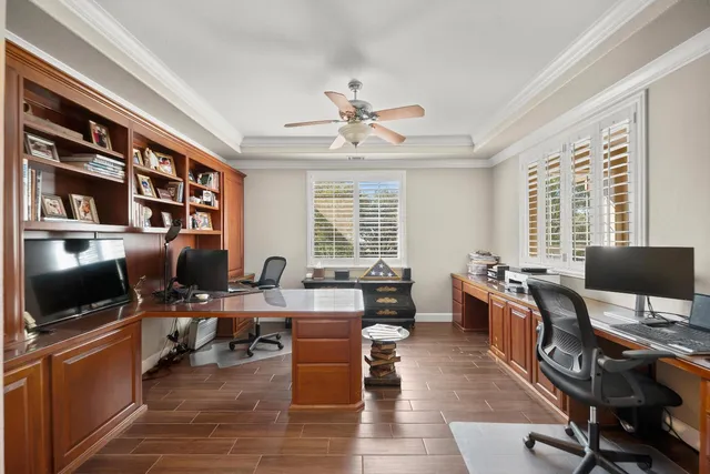 a view of a yard with plants and trees