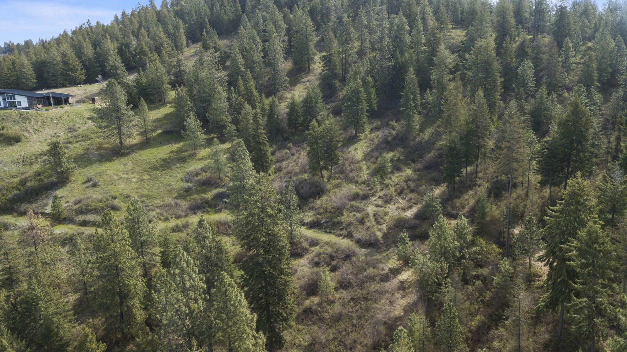 North Rockspring Lane Mead, WA 99021 - Photo 15 of 39 Gallery Image 15