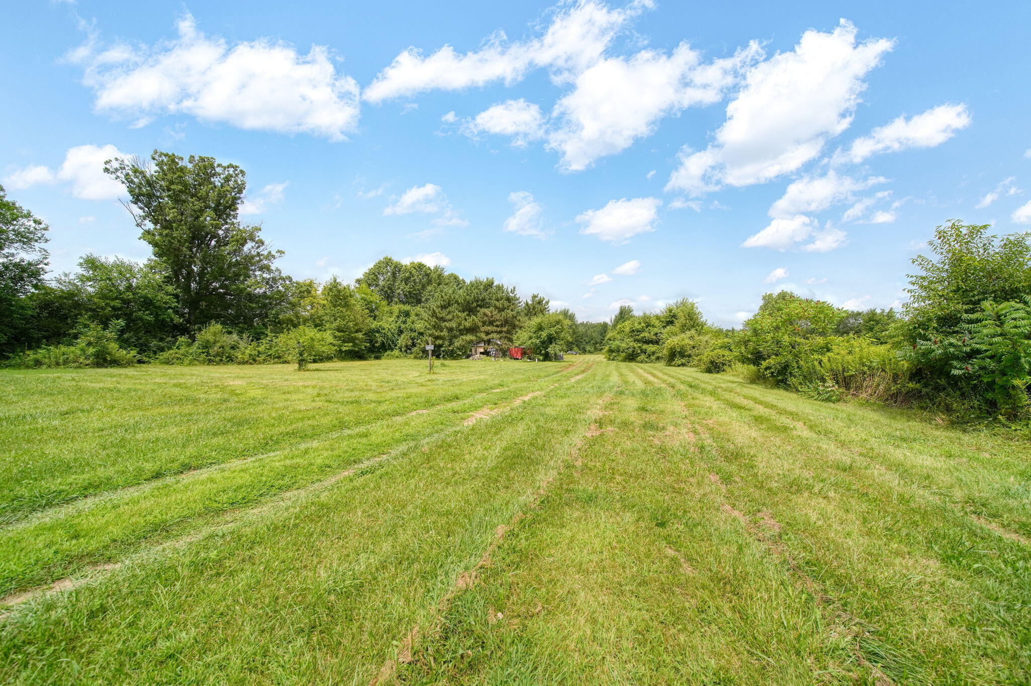 7433 Milan-Oakville Road Milan, MI 48160 - Photo 23 of 33 24-web-or-mls-DSC05325_HDR