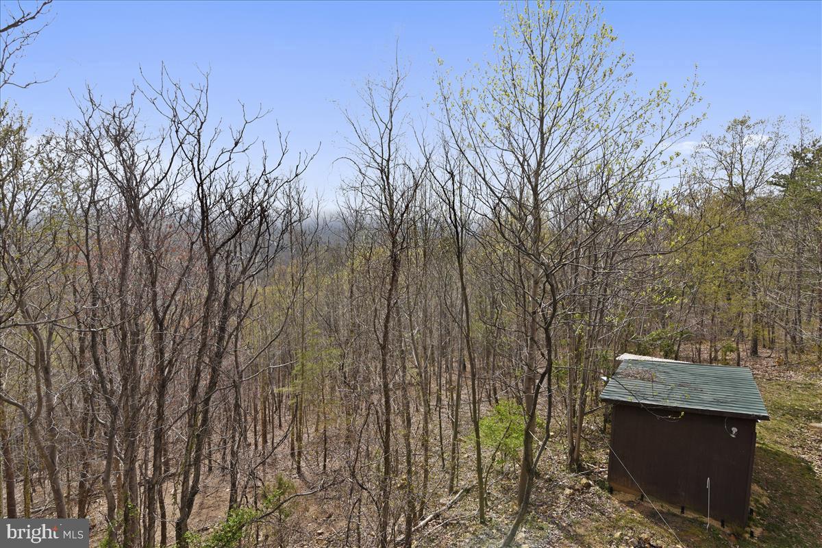 444 Timberline Ridge Road Front Royal, VA 22630 - Photo 56 of 65 Trees
