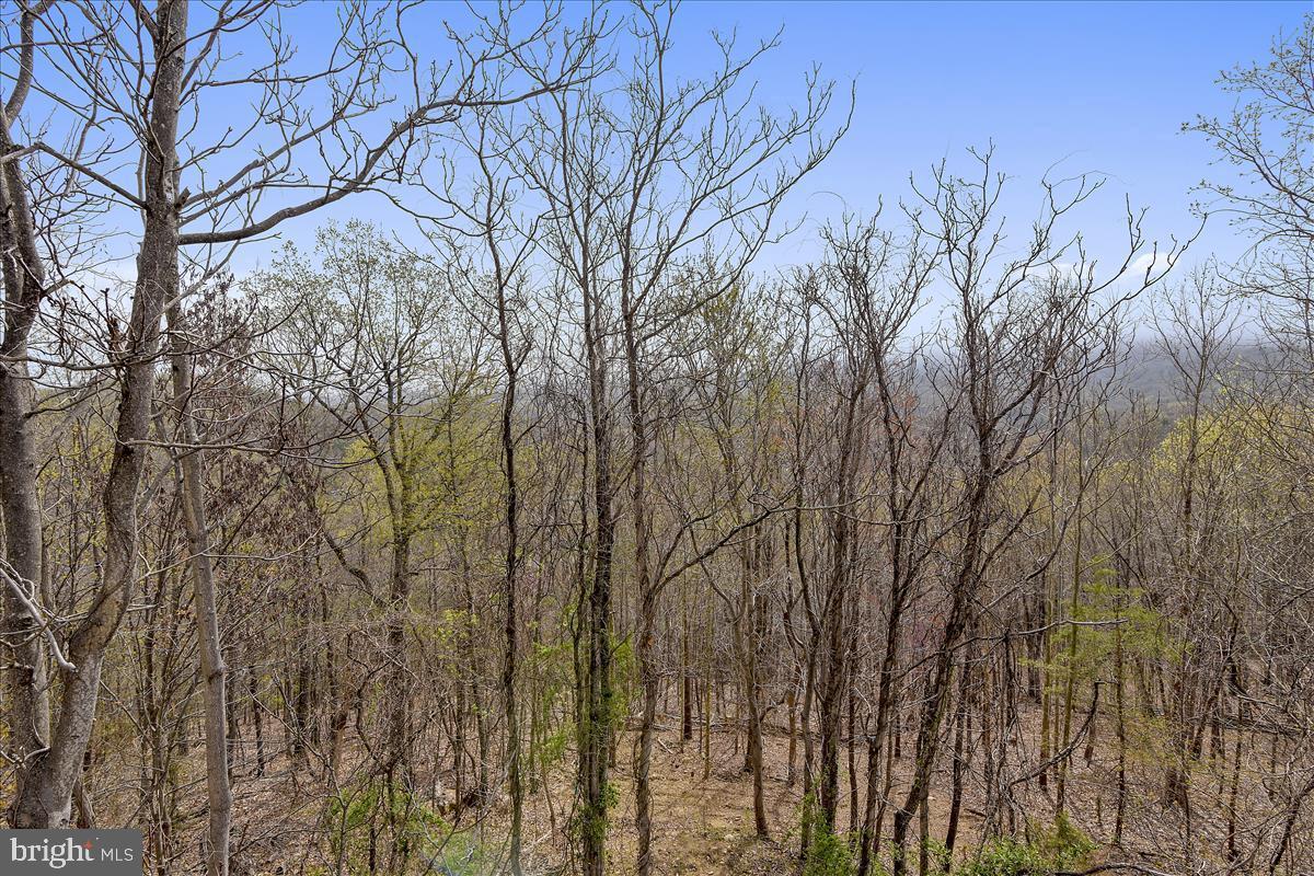 444 Timberline Ridge Road Front Royal, VA 22630 - Photo 58 of 65 Wooded Surround