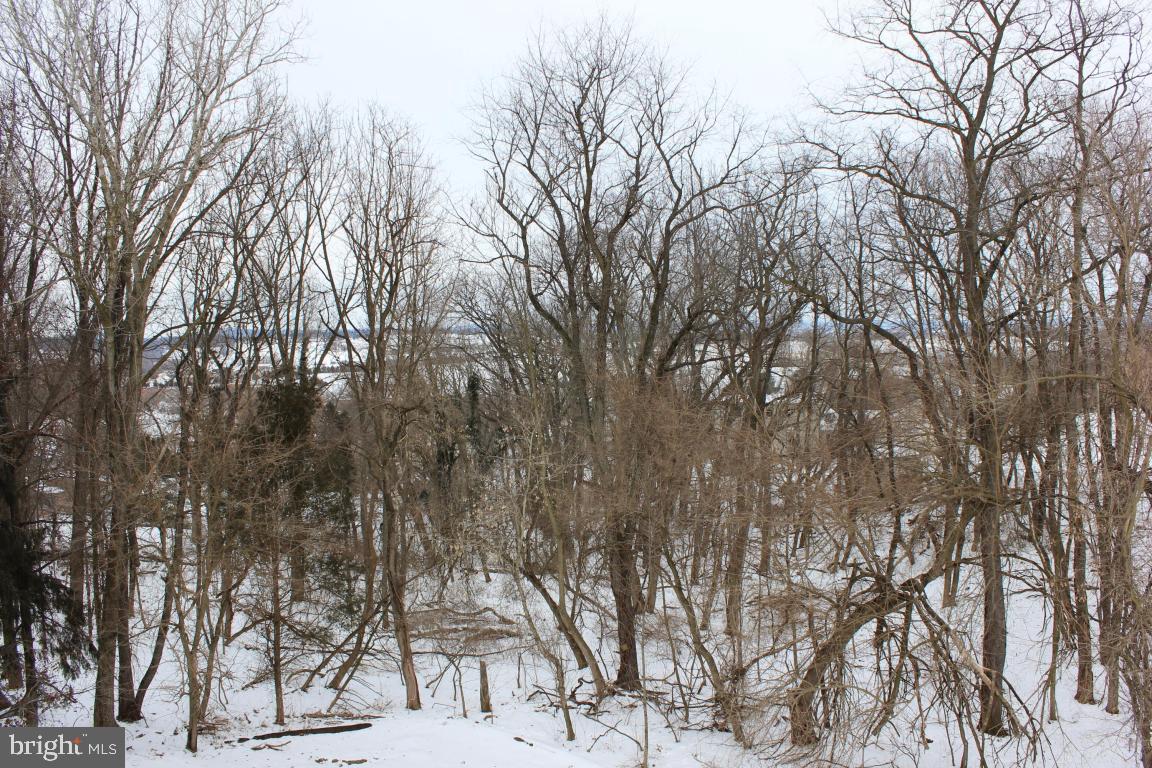 315 B Owl Hill Road Lititz, PA 17543 - Photo 21 of 21