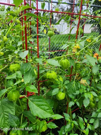 $899,900 | 2529 West Polo Green Avenue, Post Falls, ID 83854