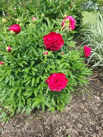 $899,900 | 2529 West Polo Green Avenue, Post Falls, ID 83854