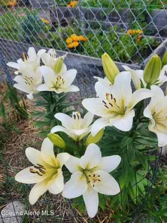 $899,900 | 2529 West Polo Green Avenue, Post Falls, ID 83854