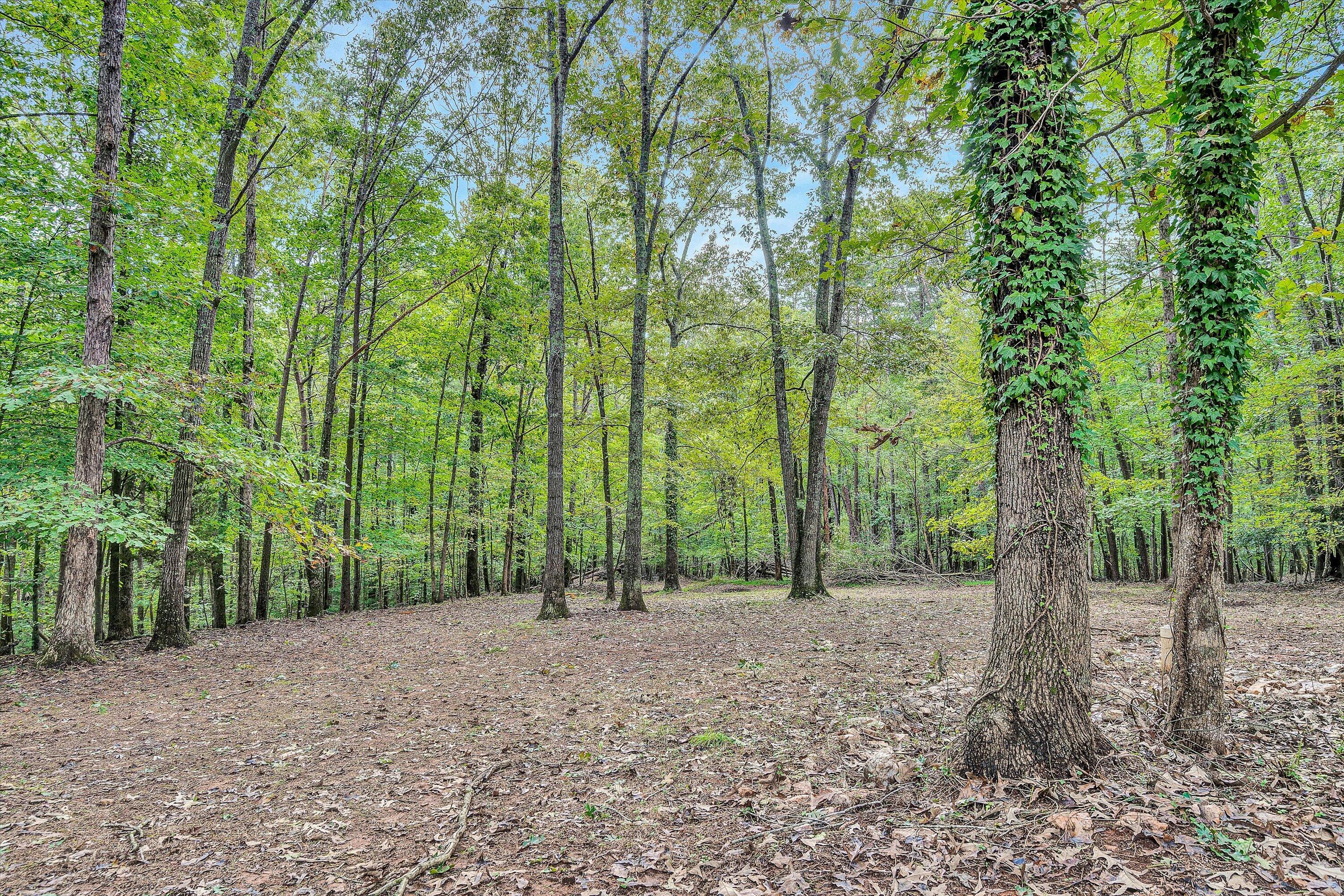 1137 Old Plantation Road Goodview, VA 24095 - Photo 39 of 43 44-DSC05894