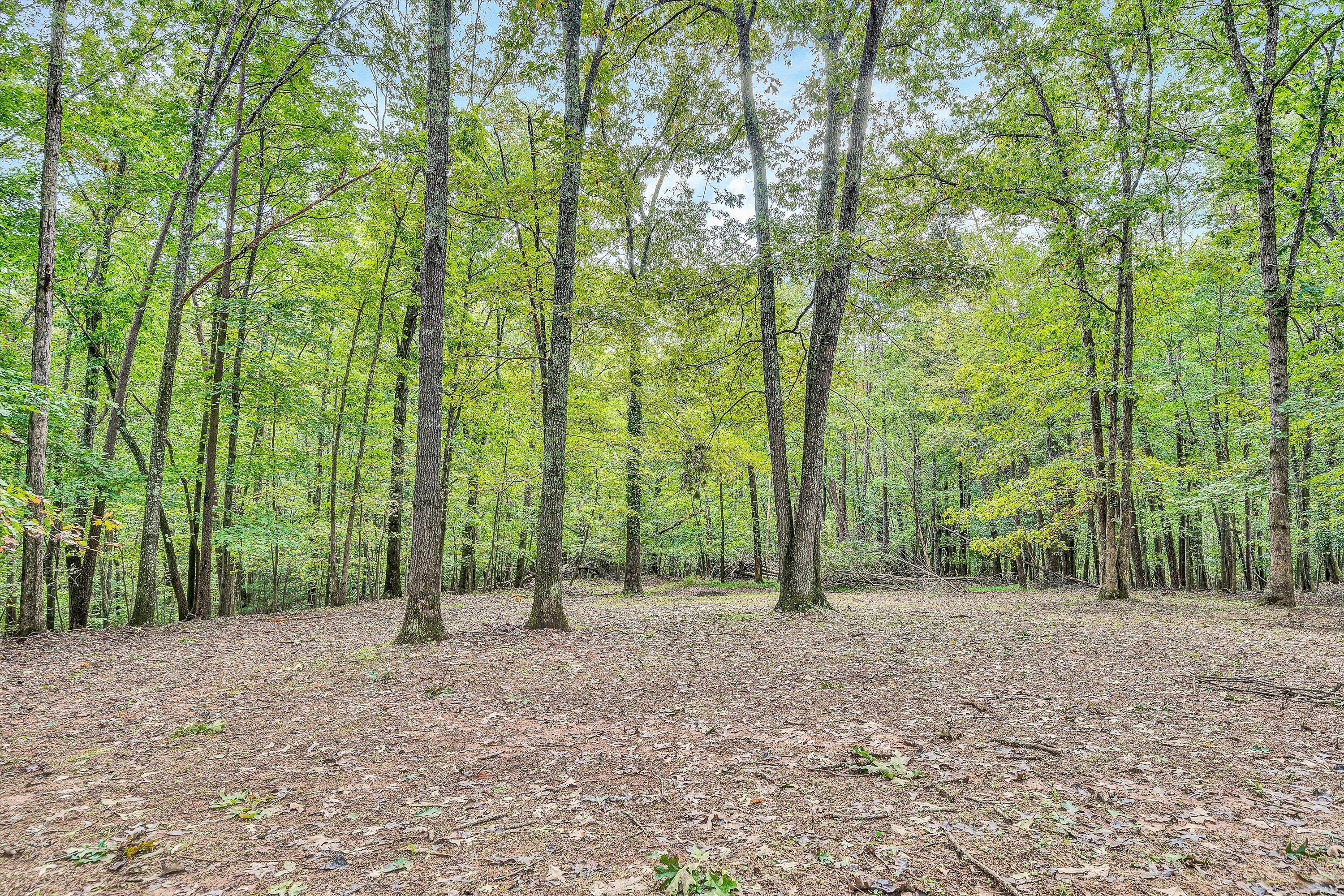 1137 Old Plantation Road Goodview, VA 24095 - Photo 41 of 43 46-DSC05900
