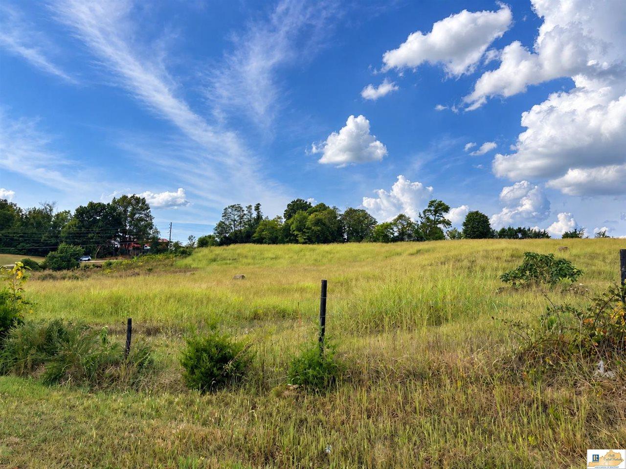 Roseville Road Glasgow, KY 42141 - Photo 1 of 14 Gallery Image 1