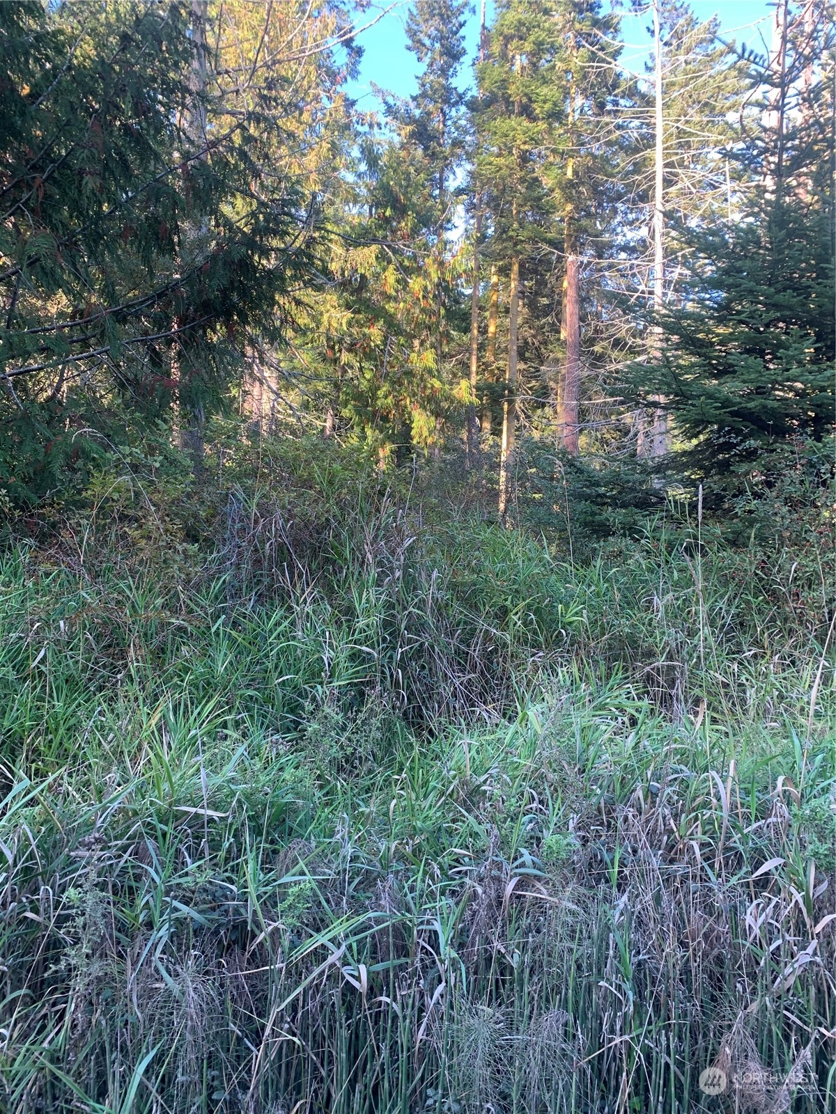 30 Harmon Ranch Road Anacortes, WA 98221 - Photo 3 of 3 Gallery Image 3