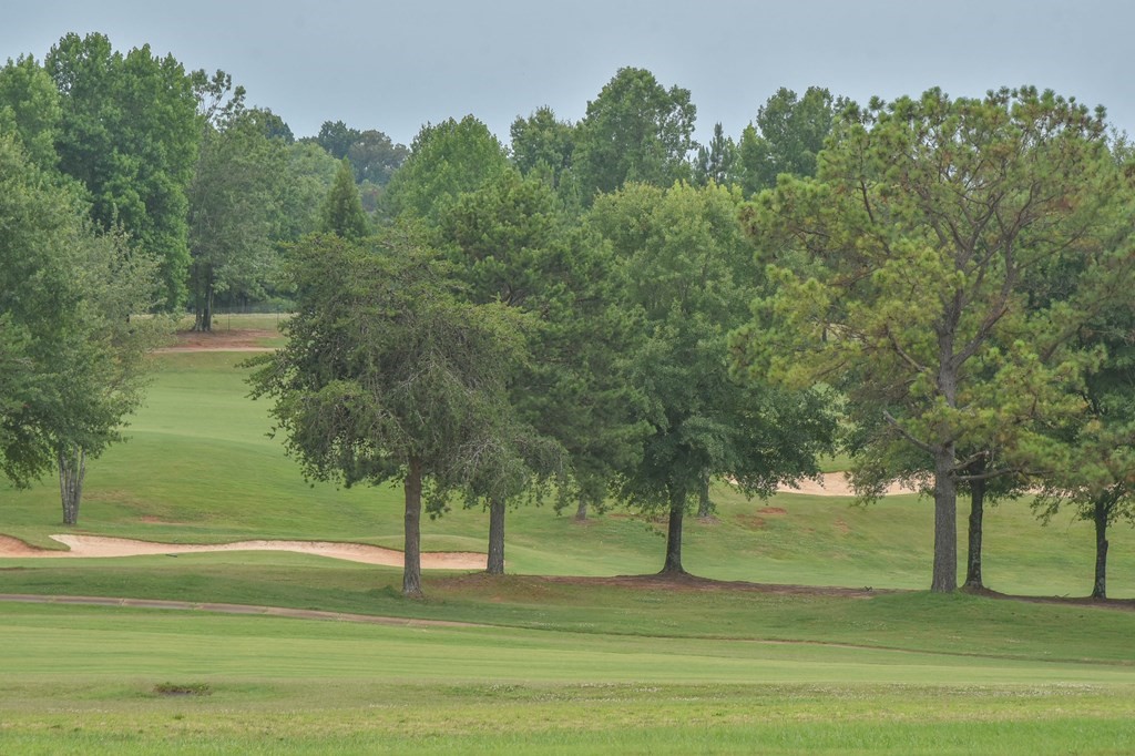 125 Parkside Drive Anderson, SC 29621 - Photo 14 of 17