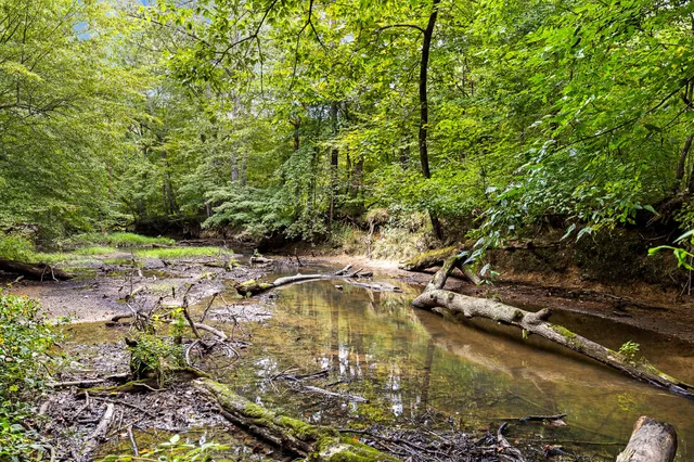 a view of swimming pool with yard