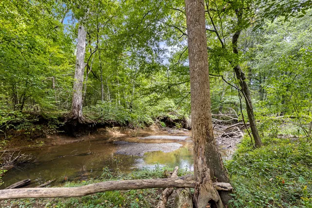 a view of backyard with green space