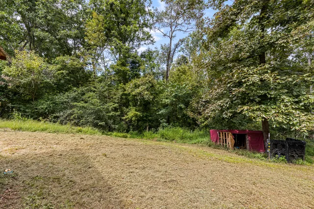 a view of a garden with plants