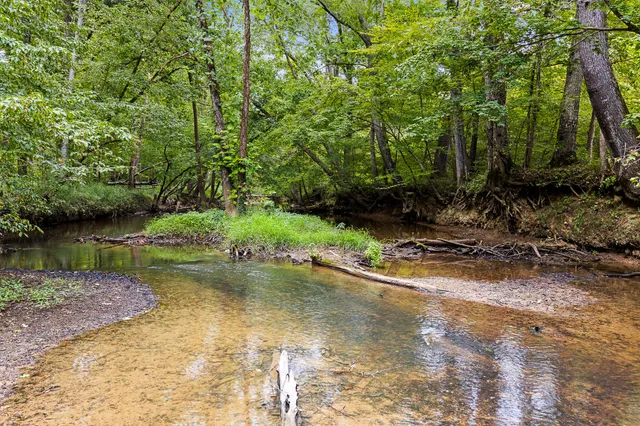 a view of a water pond with green yard