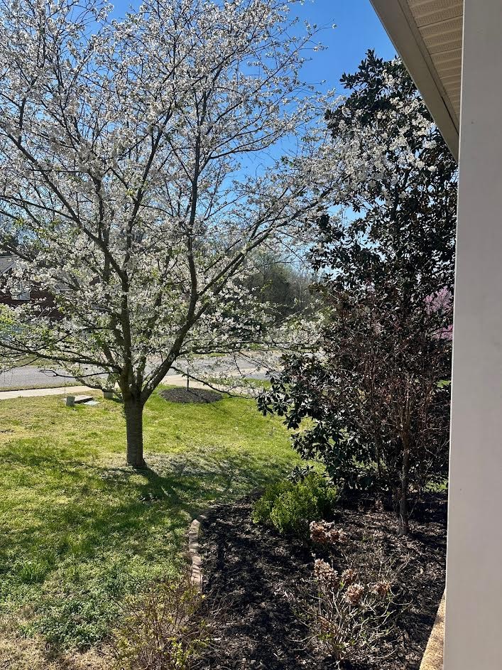 142 Ridgeview Trace Hendersonville, TN 37075 - Photo 79 of 83 Gallery Image 79