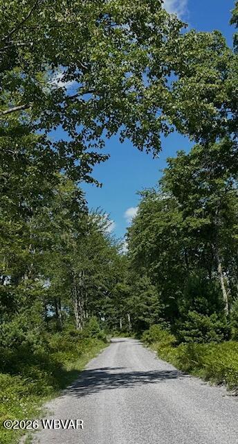 Iron Gate Road Beech Creek, PA 16822 - Photo 3 of 20 Gallery Image 3