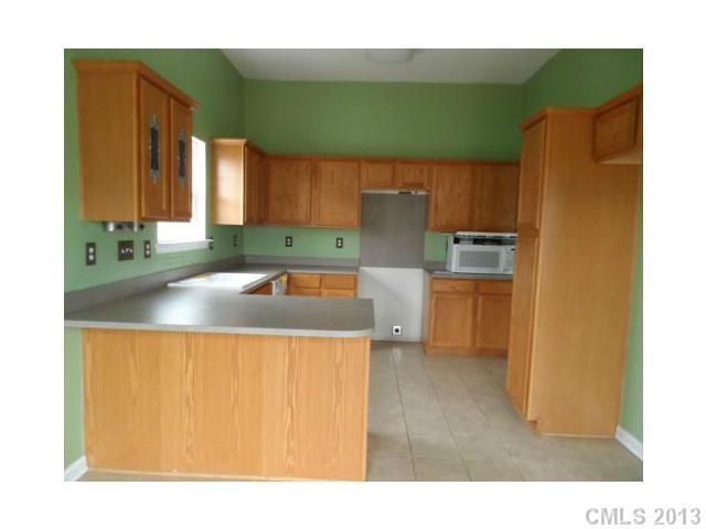 145 Rhyne Springs Road Mount Holly, NC 28120 - Photo 6 of 16