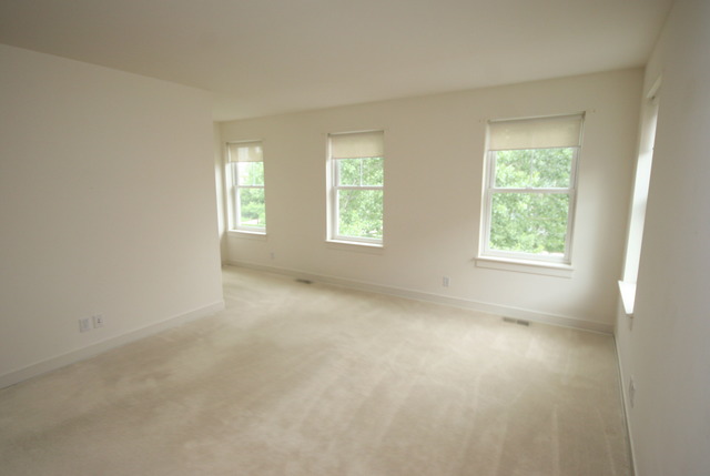 1419 Turks Cap Road Grayslake, IL 60030 - Photo 11 of 13