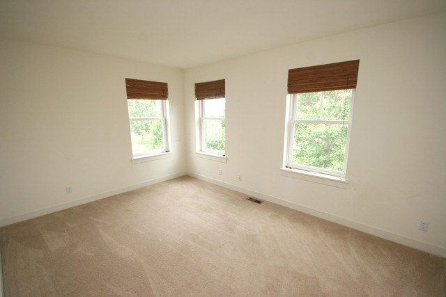 1419 Turks Cap Road Grayslake, IL 60030 - Photo 8 of 13
