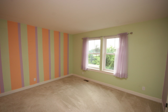 1419 Turks Cap Road Grayslake, IL 60030 - Photo 10 of 13