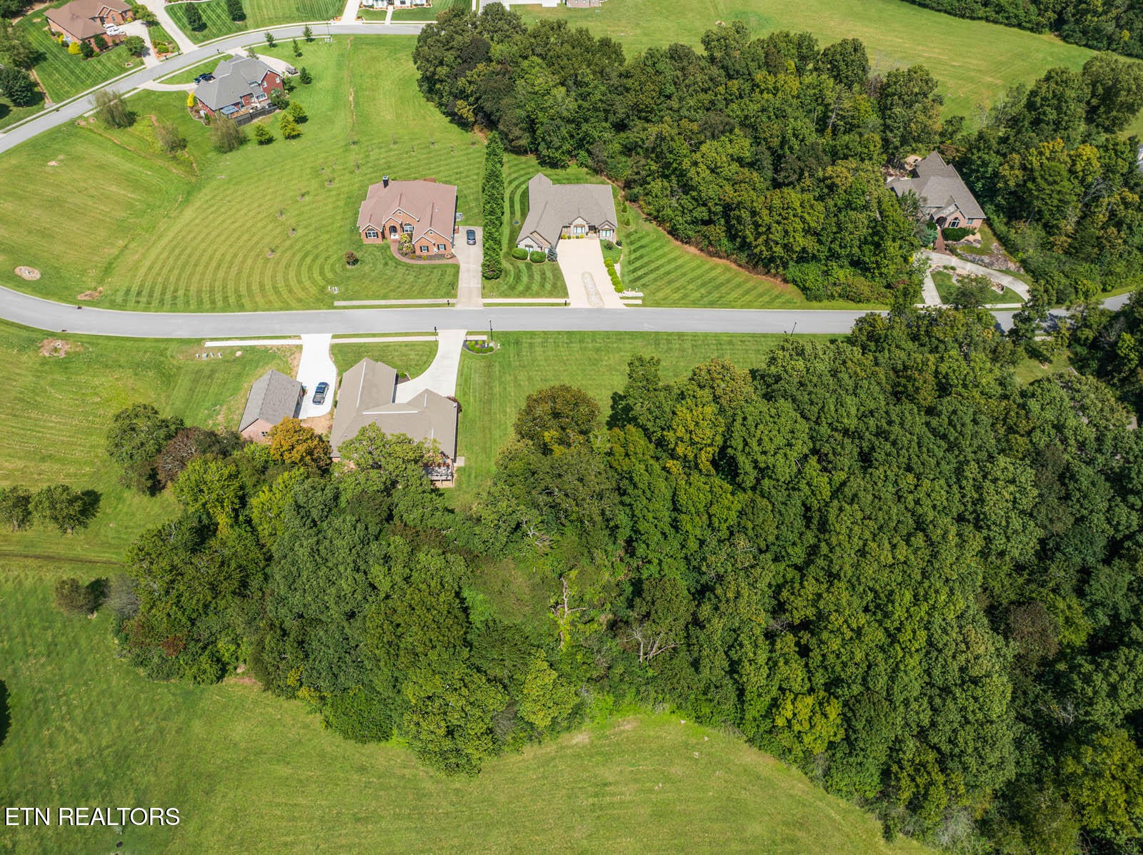 49 Tomlon Road Crossville, TN 38555 - Photo 9 of 25 Gallery Image 9