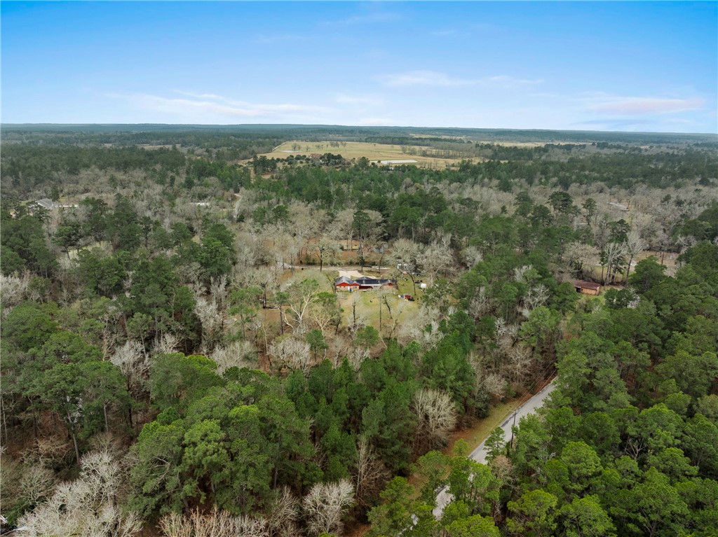 29 Dogwood Road Huntsville, TX 77320 - Photo 28 of 39 Aerial overview of property's location with a forest