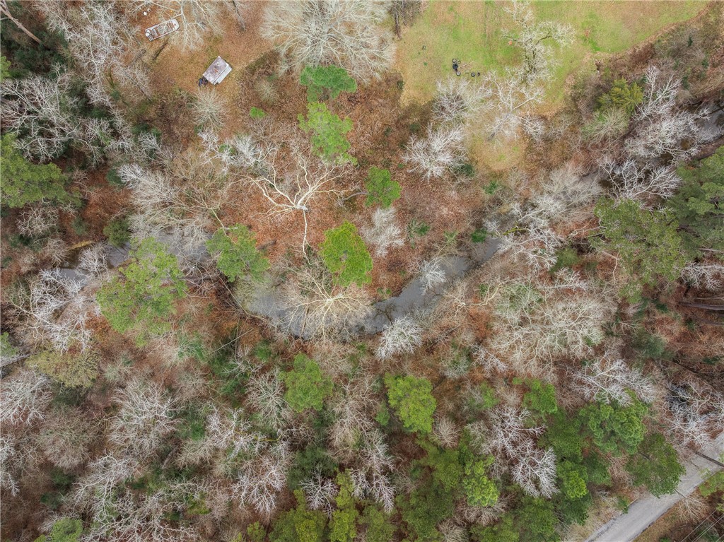 29 Dogwood Road Huntsville, TX 77320 - Photo 30 of 39 Bird's eye view