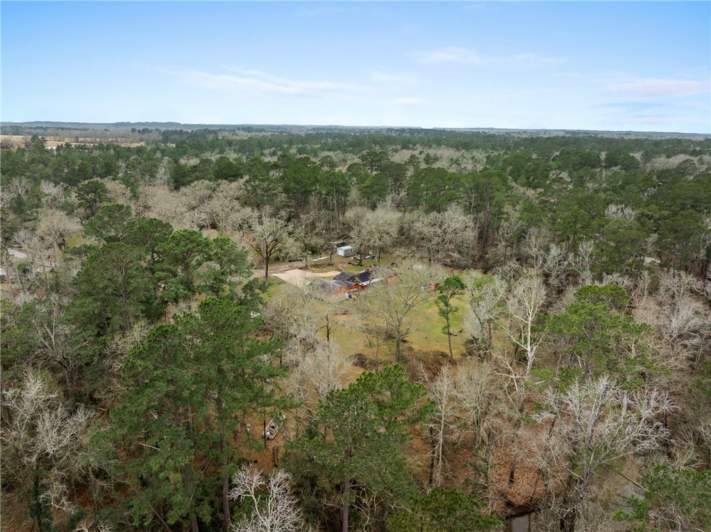 29 Dogwood Road Huntsville, TX 77320 - Photo 31 of 39 Aerial view of a forest