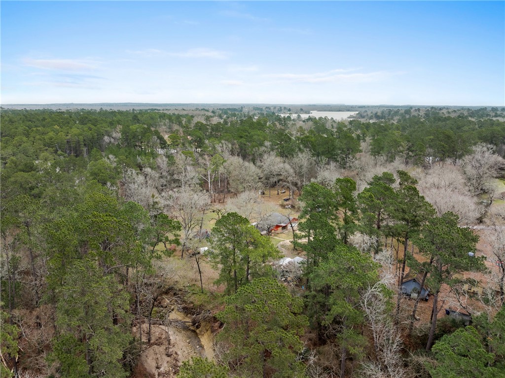 29 Dogwood Road Huntsville, TX 77320 - Photo 32 of 39 Drone / aerial view of a forest