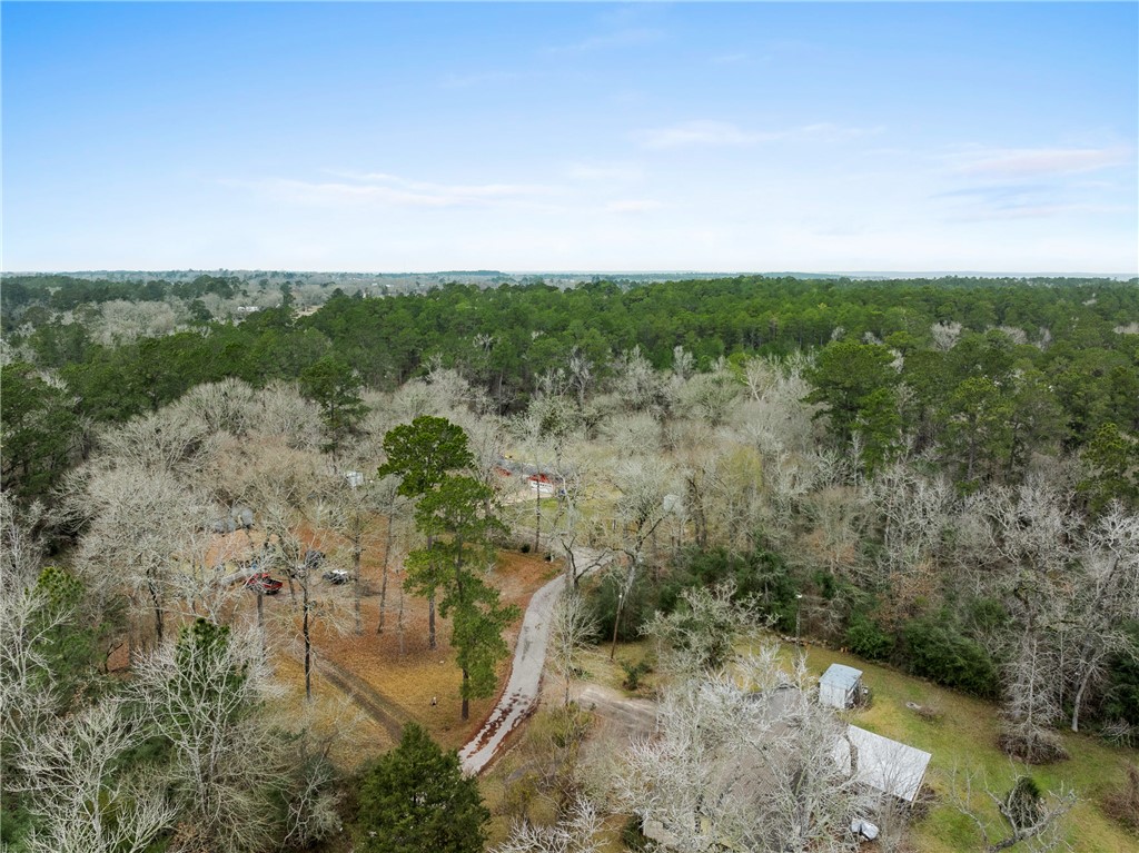 29 Dogwood Road Huntsville, TX 77320 - Photo 36 of 39 Bird's eye view of a heavily wooded area