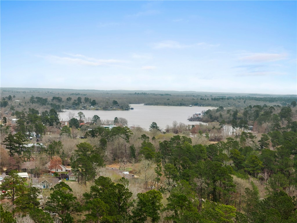 29 Dogwood Road Huntsville, TX 77320 - Photo 38 of 39 Aerial view of property and surrounding area with a large body of water
