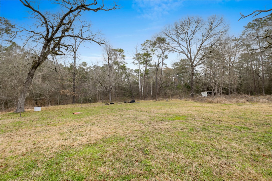 29 Dogwood Road Huntsville, TX 77320 - Photo 7 of 39 View of grassy yard