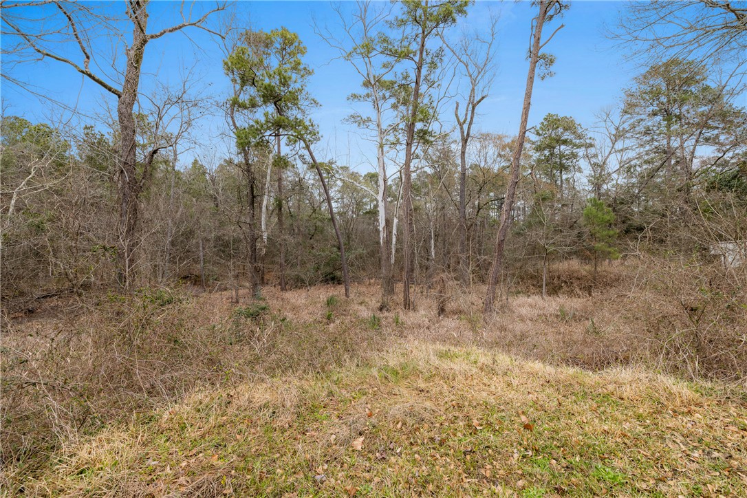 29 Dogwood Road Huntsville, TX 77320 - Photo 9 of 39 View of undeveloped land