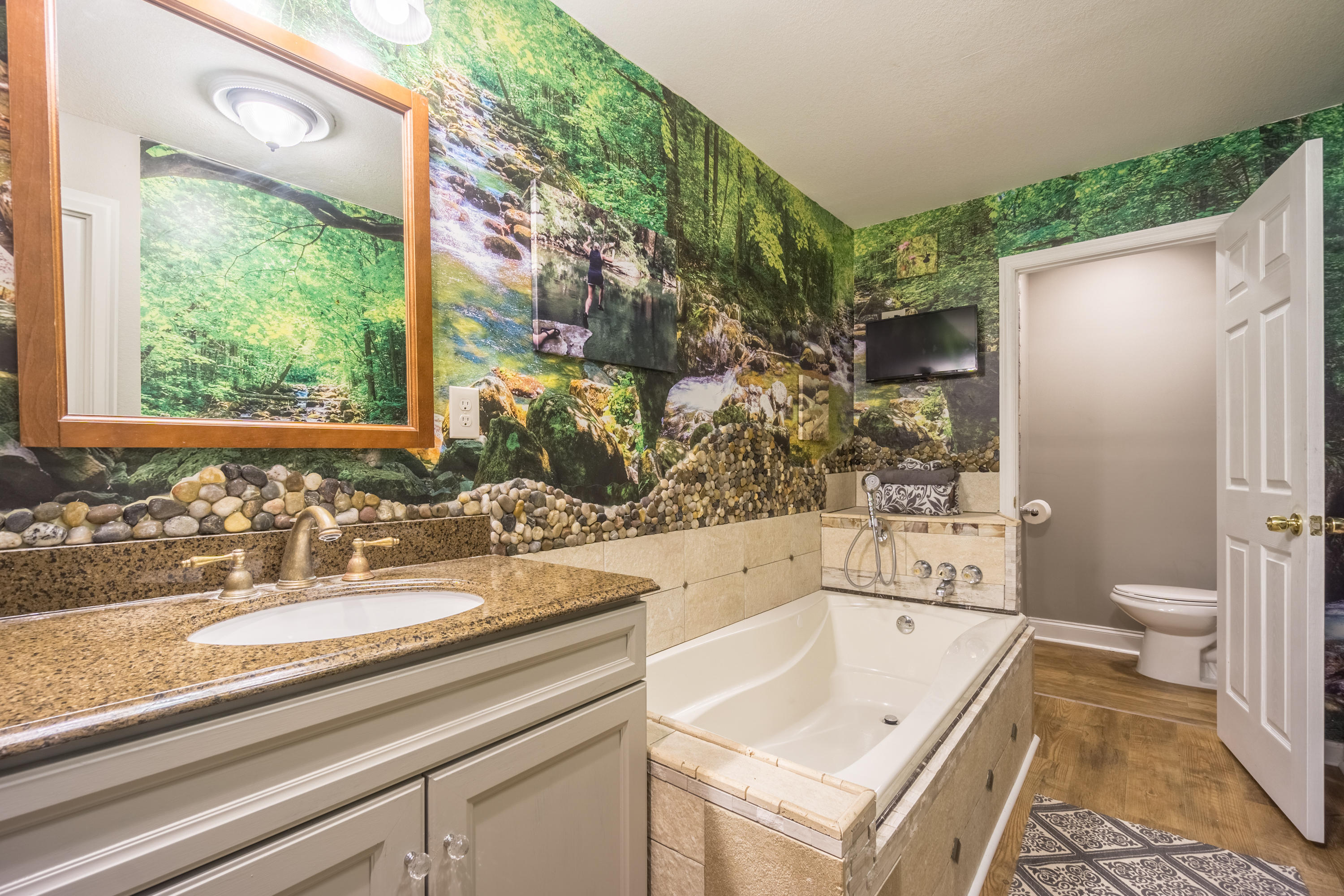 6661 Sandswitch Road Hixson, TN 37343 - Photo 28 of 57 Master bath with jetted tub