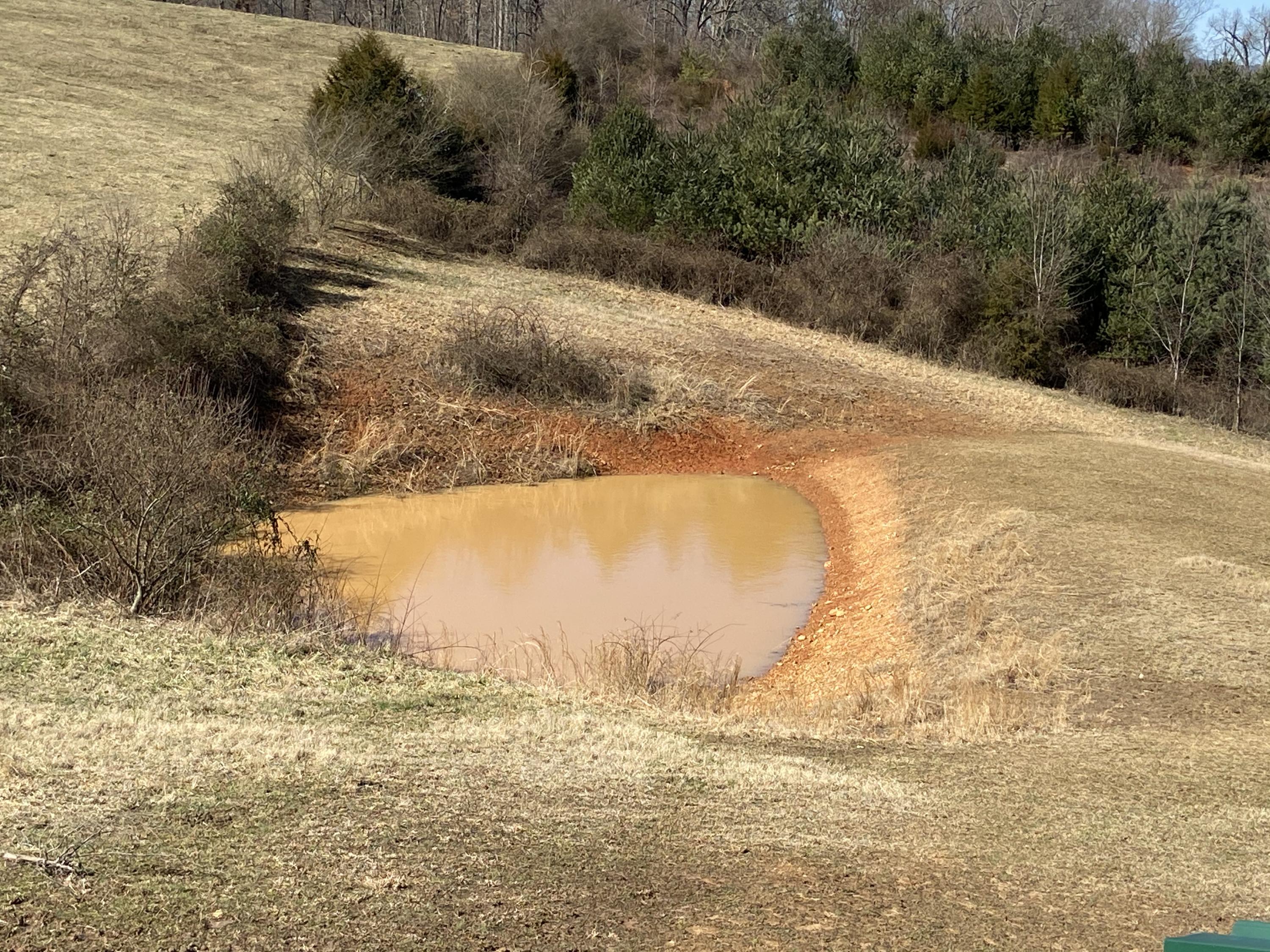 2433 Lynx Road New Market, TN 37820 - Photo 11 of 40 Photo Feb 23, 11 30 44 AM