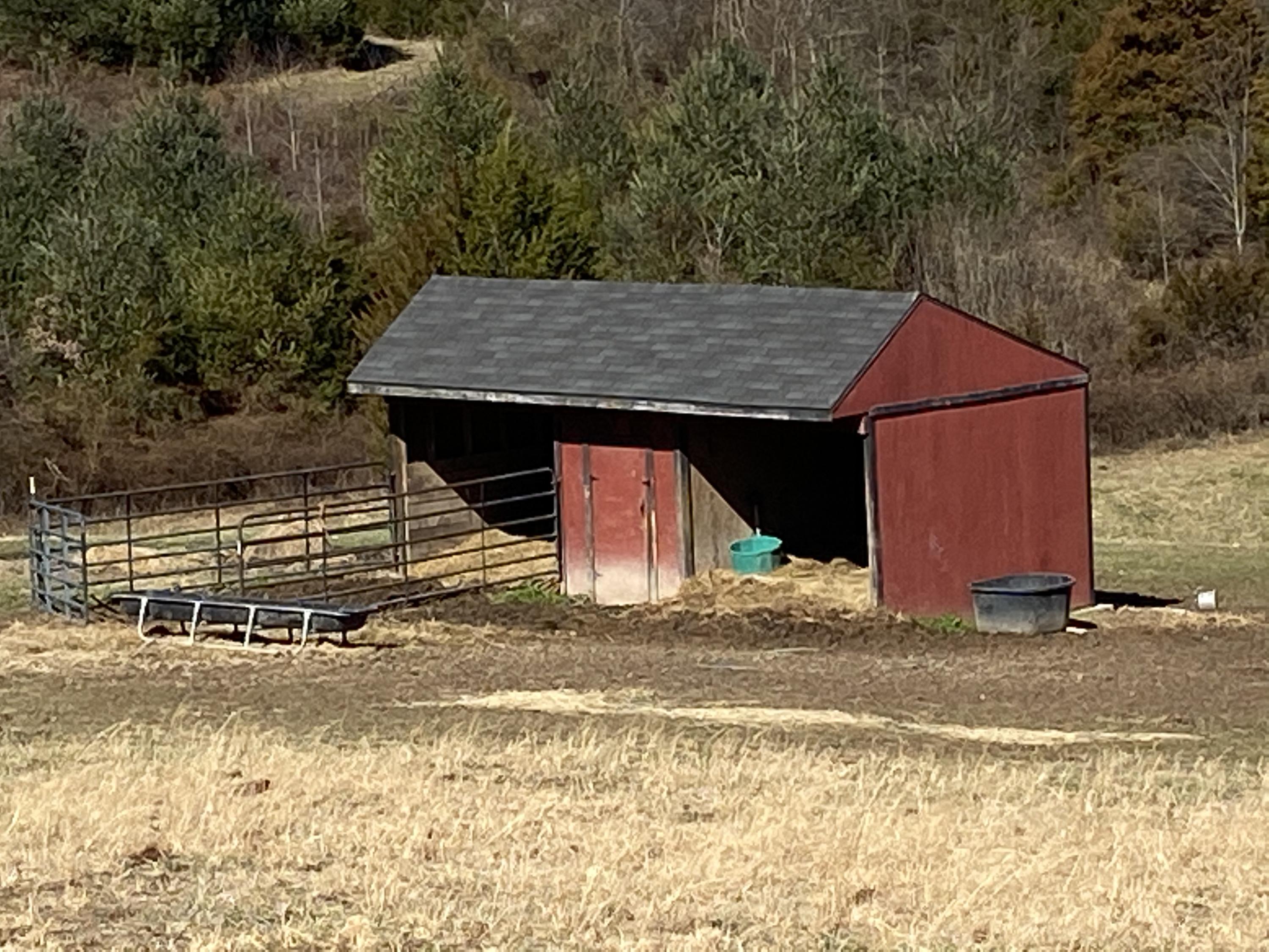 2433 Lynx Road New Market, TN 37820 - Photo 6 of 40 Photo Feb 23, 11 14 56 AM