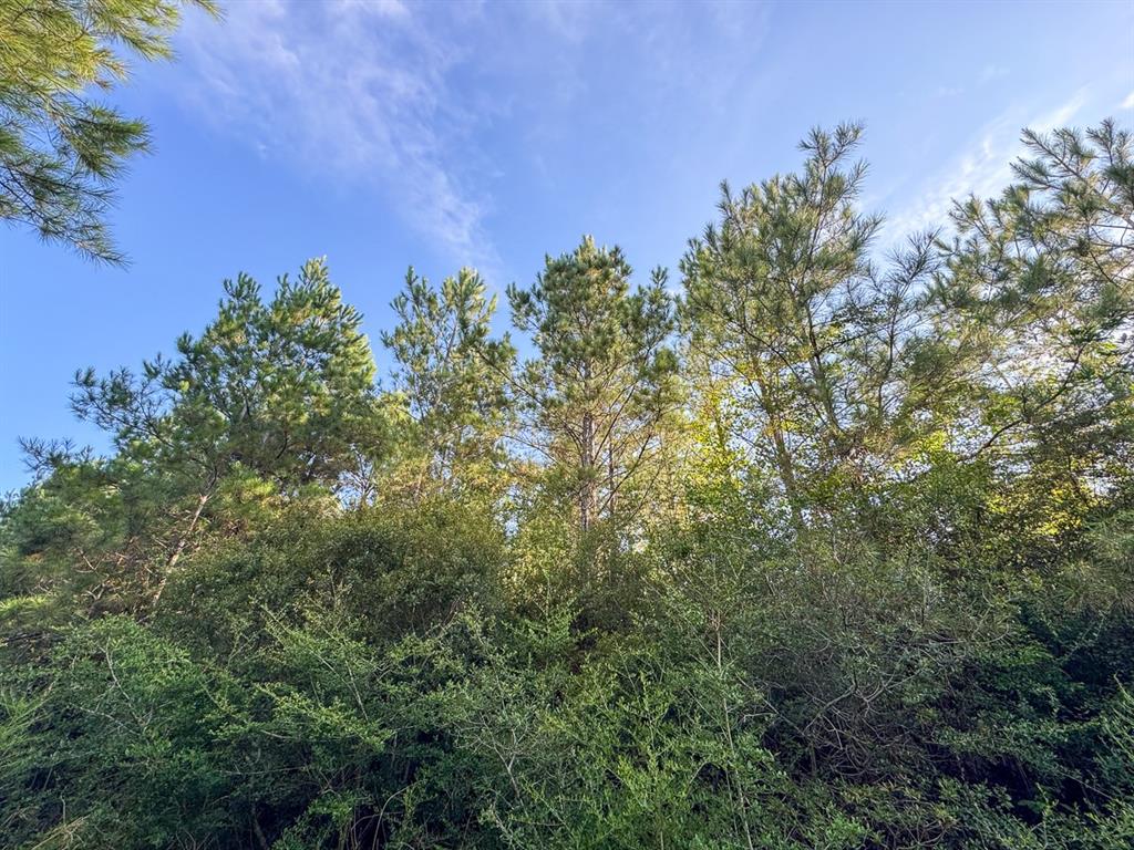 1 Edgerly Road Dequincy, LA 70633 - Photo 14 of 15 a view of a green field