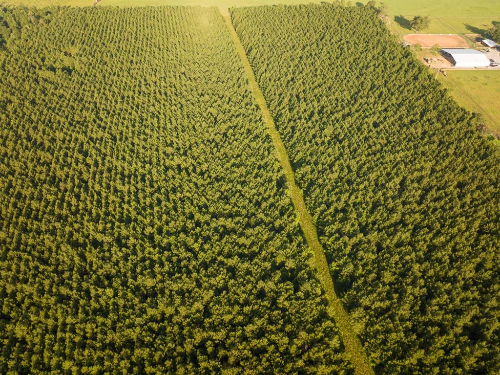 1 Edgerly Road Dequincy, LA 70633 - Photo 2 of 15