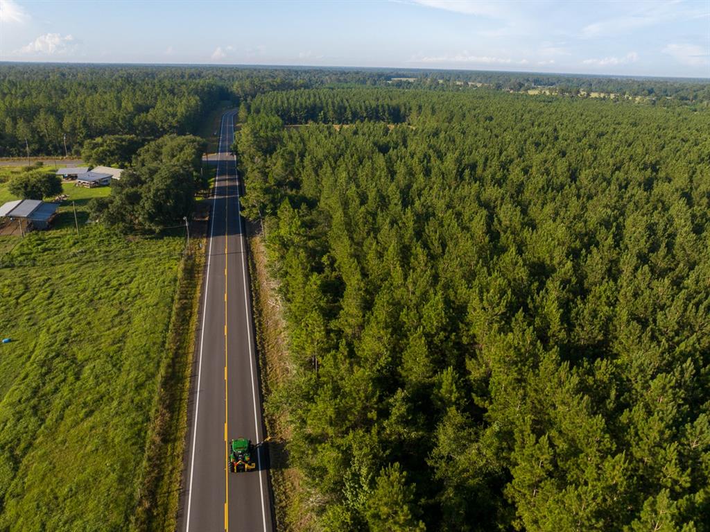 1 Edgerly Road Dequincy, LA 70633 - Photo 5 of 15 a view of a garden