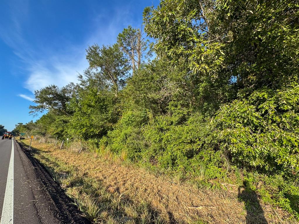 1 Edgerly Road Dequincy, LA 70633 - Photo 10 of 15 a view of a garden with plants