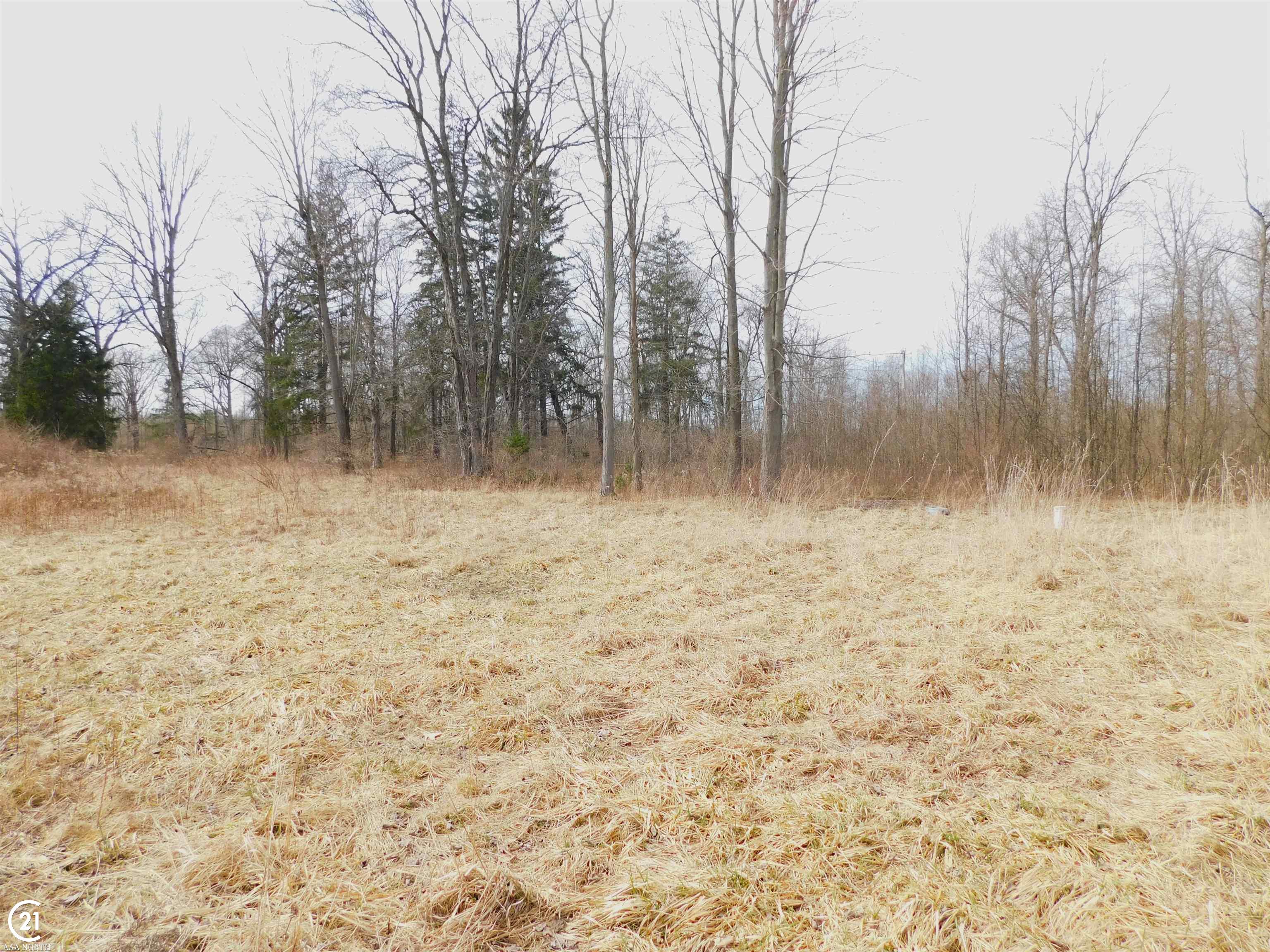 14784 Terry Road Allenton, MI 48002 - Photo 10 of 13