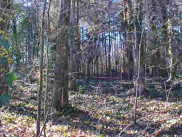 319 Allgood Farm Road Pickens, SC 29671 - Photo 5 of 5